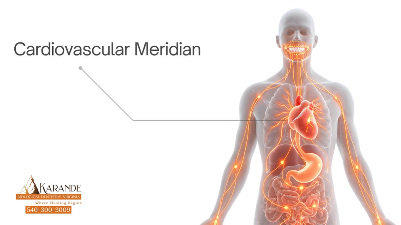 Cardiovascular System - Dr. Sachin Karande